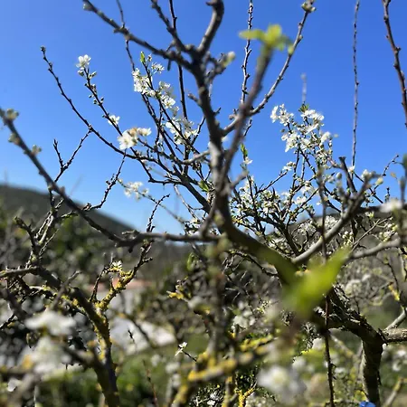 Casa Nabia - Surf & Nature Отель типа 