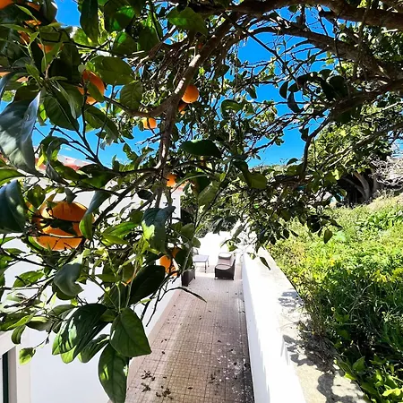 Casa Nabia - Coastal Sanctuary 住宿加早餐酒店 *