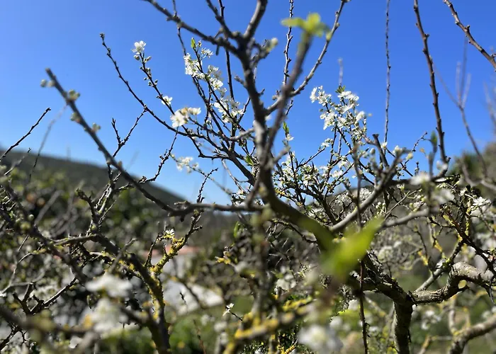 Casa Nabia - Surf & Nature Bed & Breakfast *