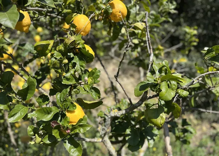 Casa Nabia - Surf & Nature Bed & Breakfast Ericeira